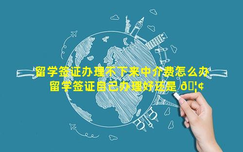 留学签证办理不下来中介费怎么办 留学签证自己办理好还是 🦢 中介办理好